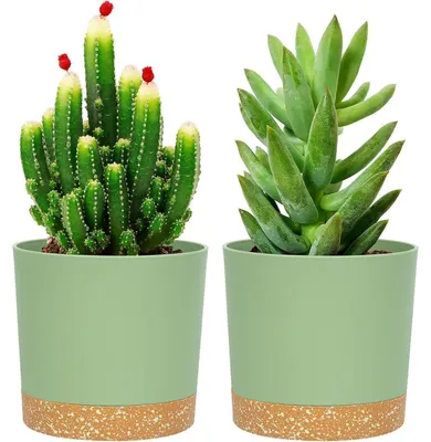 Produktbild von Blumentöpfe 2er Set 12,7 cm Grün mit Untersetzer für Innen & Außen
