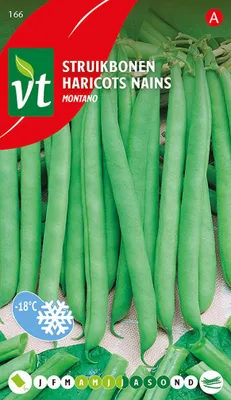 Obrázok produktu pre Semená zelenej fazule Montano - cca 50 gr | VT_166