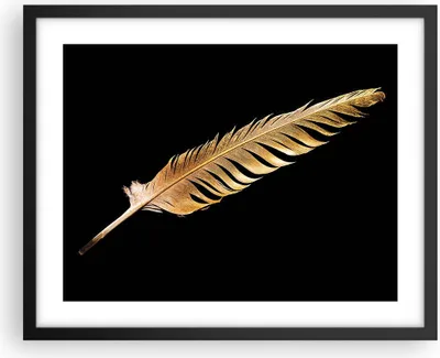 Produktbild von Gerahmtes Poster - Schwarzer Rahmen - Golden Feder Schwarz - 50x40 cm - Wand Bild - Wanddeko - Wandbilder - Kunstposter - Wandposter - Bilderrahmen - Bilder - Kunstdruck - P2BAA50x40-4887