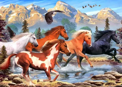 Produktbild von ALIPSON Puzzle Wild und 500 e DLKs