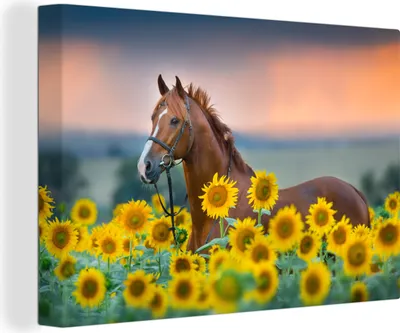 Produktbild von OneMillionCanvasses® - Leinwandbilder - 150x100 cm, Pferd - Sonnenblume - Himmel - Pastell, Wandbilder Kunstdruck Wanddekoration