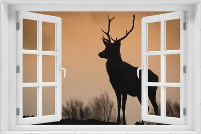 Produktbild von Wallario Wandbild mit Fenster-Illusion: Rothirsch am Abend, Größe: 61 x 91,5 cm, Poster mit rahmenlosen Bildhalter