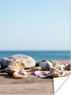 Produktbild von MuchoWow® Poster Muscheln - Strand - Meer - Sommer - Sonne 120x160 cm - Wandbilder