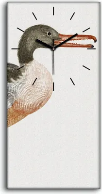 Produktbild von Wohnzimmer-Bild Leinwand Uhr Geräuschlos 30x60 Zeichnung Tier Vogel Kunst - schwarze Hände