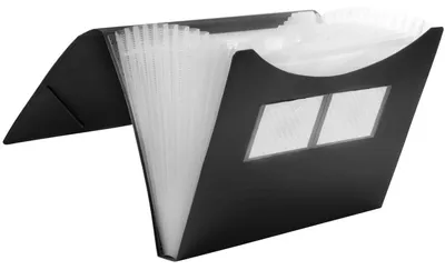 Zdjęcie produktu dla FolderSys 70009-30 Fächermappen,12 Fächer,schwarz