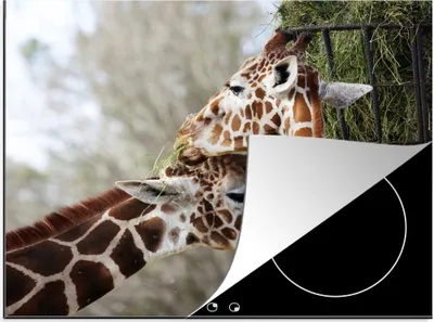 Produktbild von KitchenYeah© Herdabdeckplatte Tiere - Giraffe - Zoo , 60x52cm, Küche Deko, Glaskeramikkochfeld Herdabdeckung, Abdeckplatte fùr Kochfeld