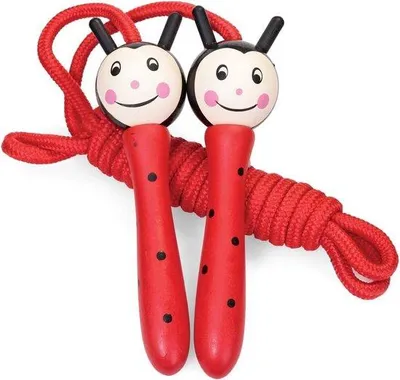 Produktbild von Springseil mit Holzgriffen, bunt, 241 cm, für Kinder und Erwachsene