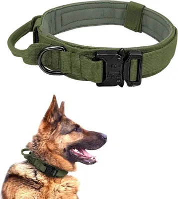 Immagine prodotto di Camerazar Collare tattico per cani XL, in nylon, 50-62 cm x 3,8 cm, con fibbia a sgancio rapido e impugnatura operativa