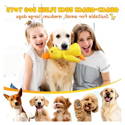Produktbild von Anti-Stress-Ente für Hunde, Hundespielzeug Ente, Quietschspielzeug für Hunde, Unzerstörbares Kuscheltier für Hunde, Spielzeug für kleine, mittlere und große Hunde