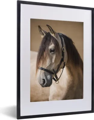 Produktbild von MuchoWow® MuchoWow® Gerahmtes Poster Pferd - Halfter - Braun - Andalusier 30x40 cm - Poster mit zchwarzem Bilderrahmen - Wandposter Schlafzimmer