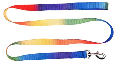 Produktbild von Führstrick Regenbogen gelb in Neonfarben mit Karabinerhaken und Handschlaufe