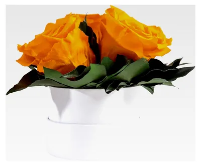 Produktbild von Runde Rosenbox in Weiß mit konservierten gelben Blumen - 3 Infinity Rosen, Durchmesser 15 cm - Geschenk für Frauen (Gelb, Medium)