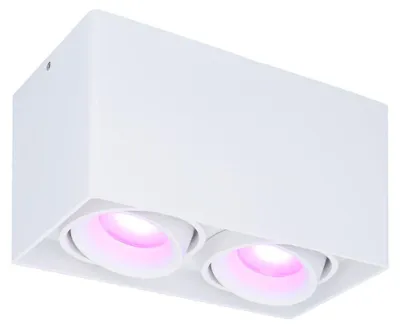 Image de HOFTRONIC - Plafonnier connecté 11W RGBWW WiFi BLE carré 2 spots inclinables blanc
