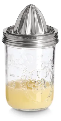 Produktbild von ZELLER 19699 Saftpresse, 450 ml, Glas/Edelstahl