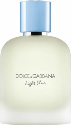 Produktbild von Dolce & gabbana LIGHT BLUE POUR HOMME edt vapo 100 ml