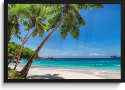Produktbild von MuchoWow® MuchoWow® Gerahmtes Poster Strand - Palme - Meer - Insel 60x40 cm - Poster mit zchwarzem Bilderrahmen - Printing - Wanddeko Schlafzimmer