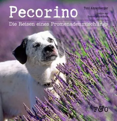 Image de Pecorino