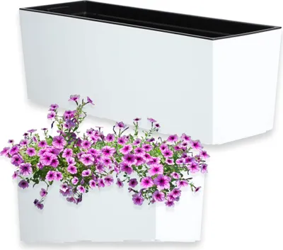 Produktbild von KADAX Doniczka Skrzynka Balkonowa + Wkład 19x56cm Biała