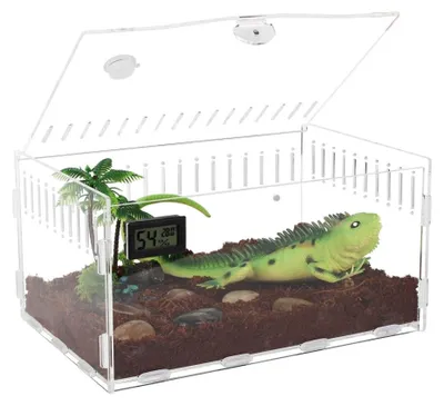 Imagen del producto de Terrario transparente para reptiles e insectos, de 30 x 20 x 15 cm
