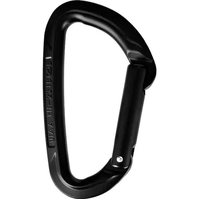 Obrázok produktu pre Wild Country 40-0000000005-0900-2, Rovný zámok, Uzamykateľná karabína, Tvar D, Čierna, 23 kN, 8 kN
