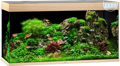 Produktbild von Aquarium JUWEL Rio 350 mit LED-Beleuchtung, Pumpe, Filter, Heizer ohne Unterschrank helles Holz