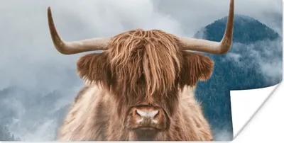 Produktbild von MuchoWow® Poster Schottischer Highlander - Kuh - Hoorn 40x20 cm - Poster für die Wand - Poster Schlafzimmer