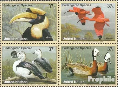 Produktbild von Briefmarken UNO - New York 2003 Mi 925-928 Viererblock (kompl.Ausg.) FDC Vögel