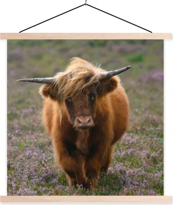 Produktbild von MuchoWow® Textilposter Schottische Hochlandbewohner - Heidelandschaft - Tiere 120x120 cm mit holzfarbenen Rahmen - Textil-Poster