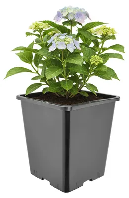 Produktbild von Garronda Hoher quadratischer Kunststoff-Blumentopf mit Drainagelöchern für Garten, Schwarz, 20,5 x 20,5 x 23,5 cm, 7 L GD-KW-HS