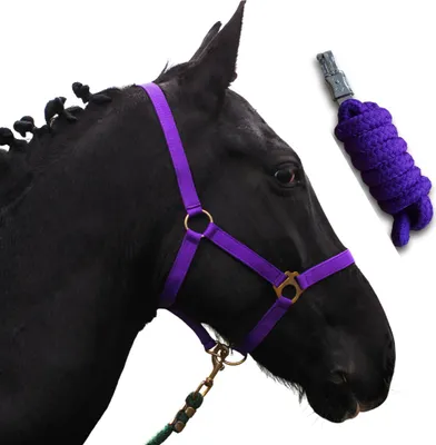 Produktbild von Halfter für Pferde mit Strick - Größe Kaltblut, X-Full, Führstrick 2m mit Panikhaken - Farbe lila