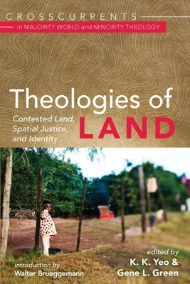 Produktbild von Theologies of Land