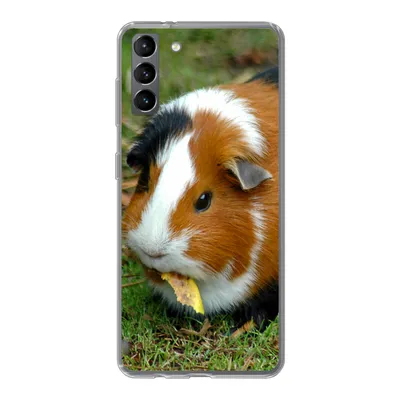 Produktbild von MuchoWow® Handyhülle Schutzhülle Hülle für Samsung Galaxy S21 Plus Meerschweinchen draußen Silikon Softcase Handy Hülle - Handy-Tasche