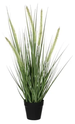 Immagine prodotto di Mica Decorations Dogtail Grass Pianta Artificiale - H53 x Ø30 cm - Verde