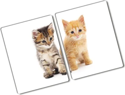 Produktbild von Tulup Glas Herdabdeckplatte - 2x40x52 cm - Glaskeramikkochfeld-Abdeckung Spritzschutz Glasabdeckplatte Kochplattenabdeckung und Schneidebrett - Zweiteilig - Tiere - Katze Tier - Orange
