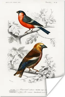 Produktbild von MuchoWow® Poster Vogel - Vintage - Zweig 40x60 cm - Plakate für die Wand - Poster Babyzimmer