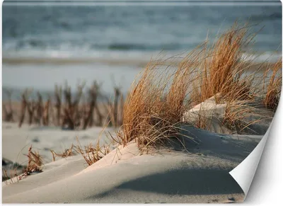 Produktbild von Vlies fototapete Dünen an der Ostsee 368x254 cm Feeby Beige inkl. Kleber einfache Montage