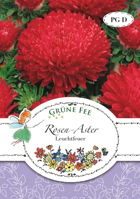 Produktbild von Grüne Fee - Rosen-Aster Leuchtfeuer Samen - 13155