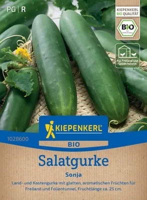 Produktbild von Kiepenkerl Salatgurkensamen Sonja Cucumis sativus 25 Pflanzen