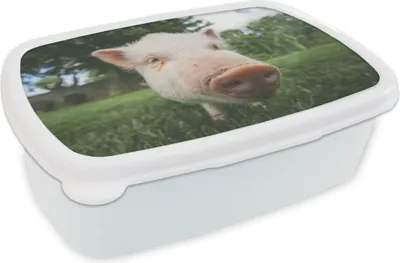 Obrázok produktu pre KitchenYeah® Lunchbox Obedový box 17x11 cm prasa - zblízka - tráva detský obedový box - obedový box - deti - sendvičový box - školský box - obedové boxy