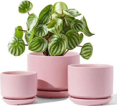 Produktbild von Kleine Keramik-Töpfe 3er-Set 11-17cm rosa für Zimmerpflanzen