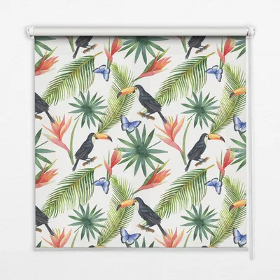 Produktbild von Seitenzug-Rollo Fensterrollo Jalousie - Lichtdurchlässig Springrollos - 70x140 cm - Tukane auf Blumen