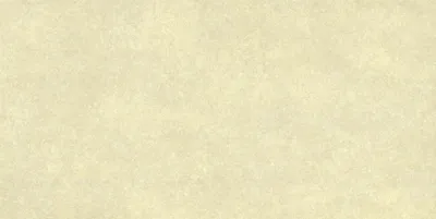 Produktbild von Bodenfliese Feinsteinzeug Absolute 31 x 62 cm beige