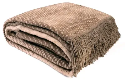Produktbild von Decke, Baumwolldecke mit Fransen, hohe Qualität 150x200 Ps26102c Beige Geometrie