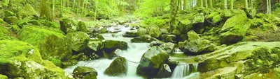 Produktbild von Papermoon Waterstream Panorama Vlies Fototapete 350x100cm 2-bahnen.