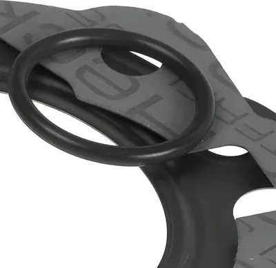 Produktbild von Dichtungssatz Polini, d=50mm für Derbi Senda