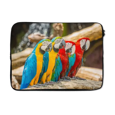 Produktbild von MuchoWow® Laptop Hülle 13 Zoll Vögel - Papagei - Tropisch - Natur Laptoptasche - Laptophülle - Sleeve - Rundumschutz