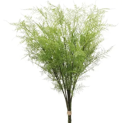Immagine prodotto di Rami artificiali di felce, adatti per decorazioni a tema asparagi, lunghezza 76 cm, confezione da 3 pezzi