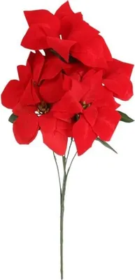 Produktbild von Strauß aus 5 großen Samt-Weihnachtssternen (55 cm, rot)