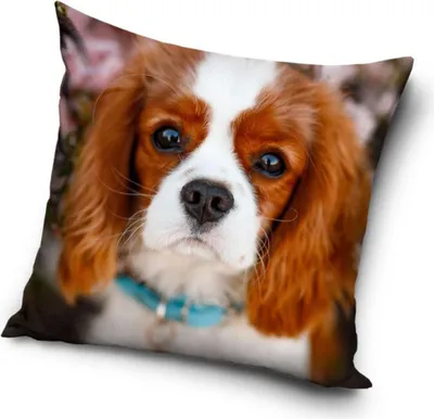 Immagine prodotto di Fodera per cuscino per cani 40*40 cm