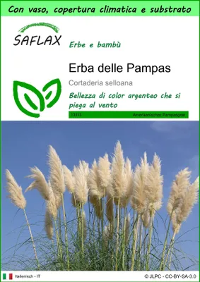 Immagine prodotto di SAFLAX Garden to go - Erba delle Pampas - 200 semi - Cortaderia